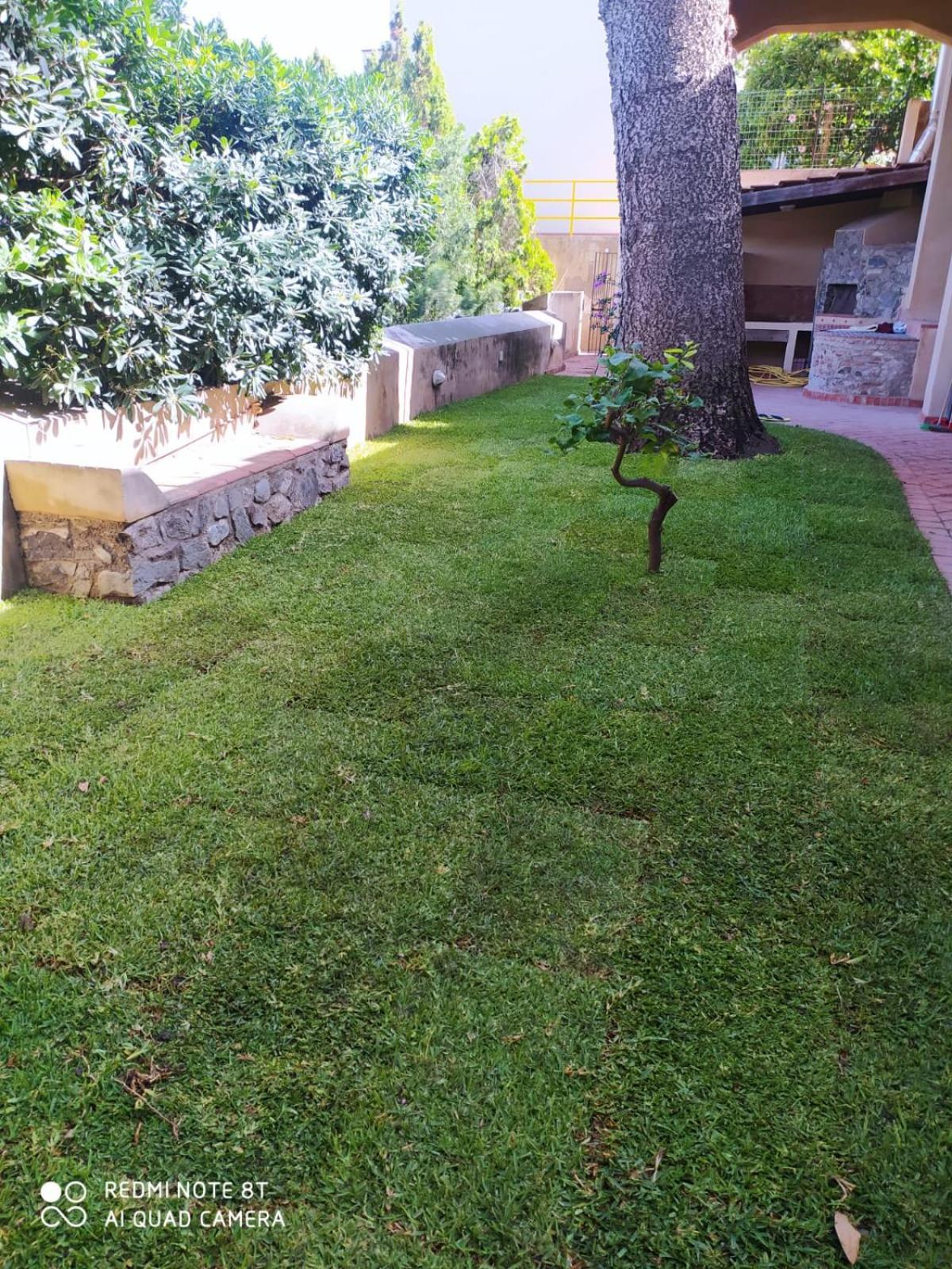 Maison Canopee Mesyna Zewnętrze zdjęcie